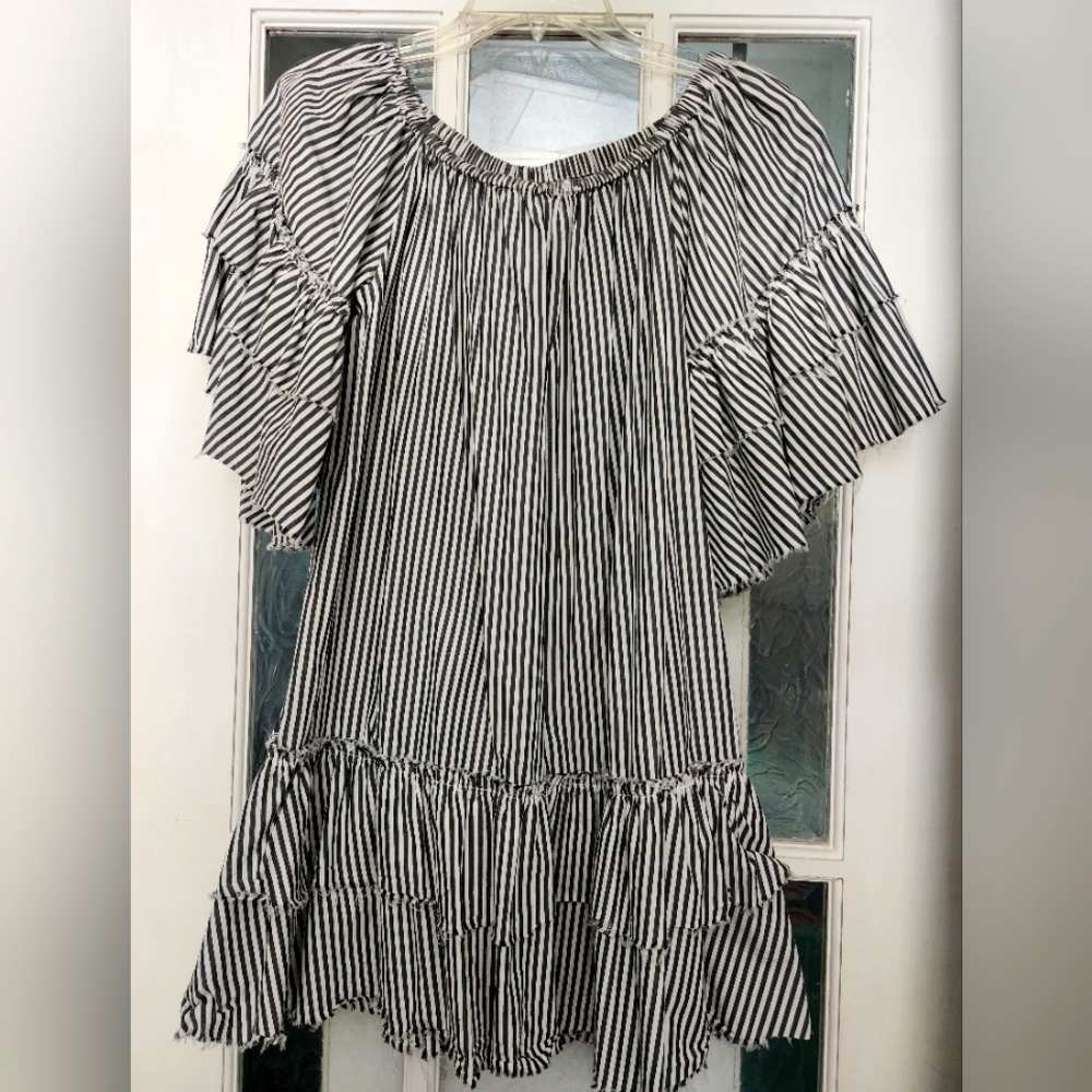 Zara super cute ruffled top